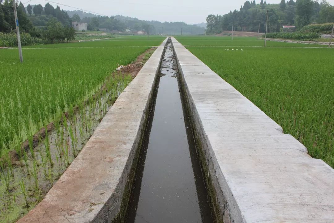 u0gkcqb02kcy5a9g85b.jpeg u0gkcqb02kcy5a9g85b.jpeg